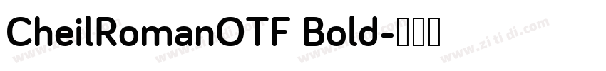 CheilRomanOTF Bold字体转换